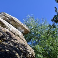 Pierre gros plan 097i5